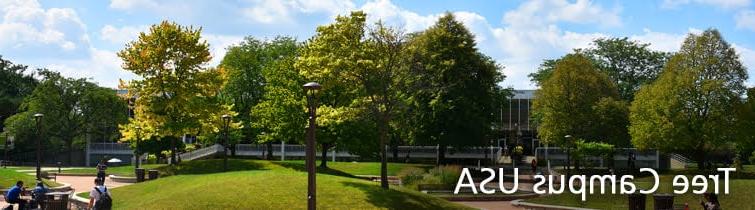 Tree Campus Banner